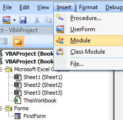 User Form - Insert Module